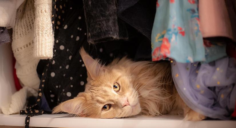 Így számolhatja fel a rendetlenséget 1 óra alatt a ruhásszekrényben