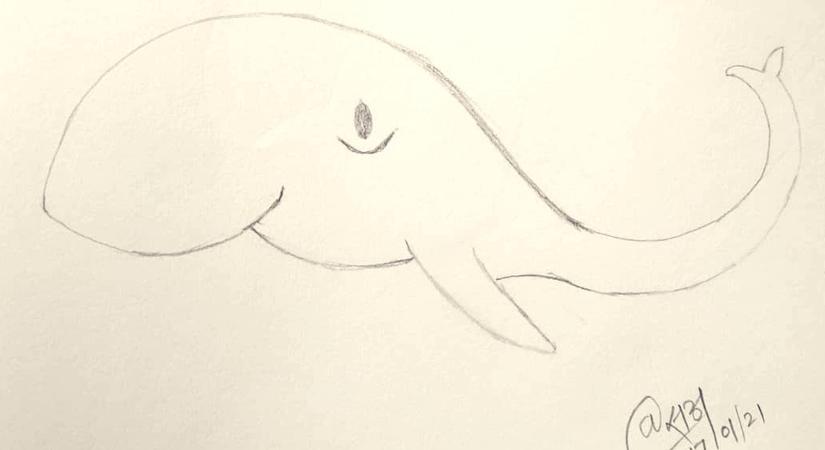 Optikai illúzió: milyen állatot lát bele ebbe a rajzba? Ez a személyiségteszt megmutatja, mennyire közösségi lény ön