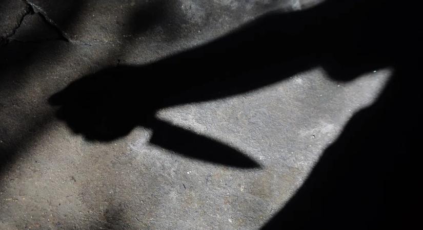 A város különböző pontjain helyezett el testrészeket a debreceni darabolós gyilkos