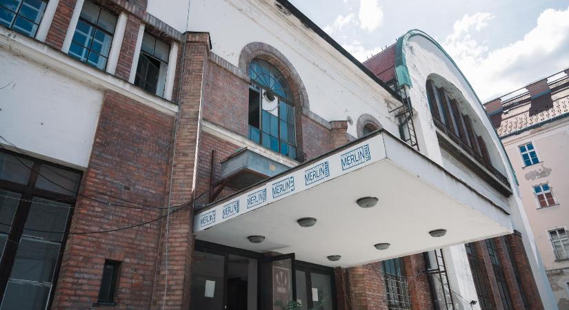 Közös gyermekvédelmi oktatást tart jövő szombaton a Magyar Kétfarkú Kutya Párt