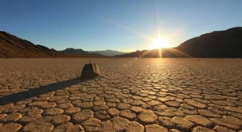 A Halál-völgy titkos növénye adhat választ a változó éghajlat kihívásaira