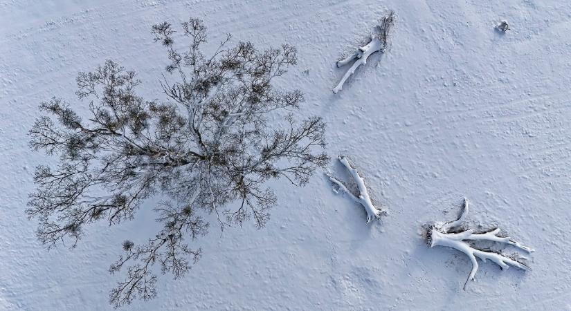 Lenyűgöző fotókon a téli Hortobágy: évek óta senki sem láthatta így