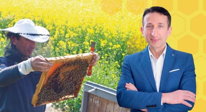 A méhméreg valóban természetes csodaszer, de ne dőljünk be a félrevezető ígéreteknek