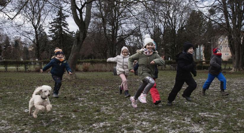 Kössünk egyet Bodrira? Jól jön a biztosítás, ha műtik a kutyát, de a társaságok elég szőrösszívűek a kedvenceinkkel