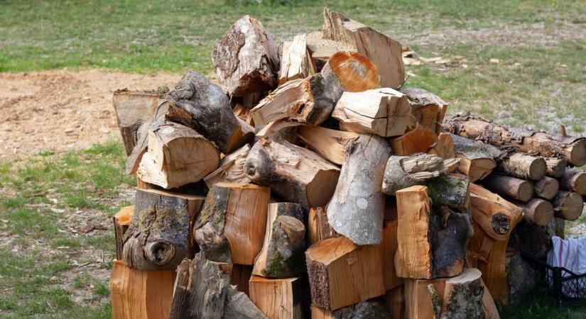 Sokan már elfűtötték a fájuk nagy részét, most hatszáz mázsa tűzifával segítenek a rászorulóknak