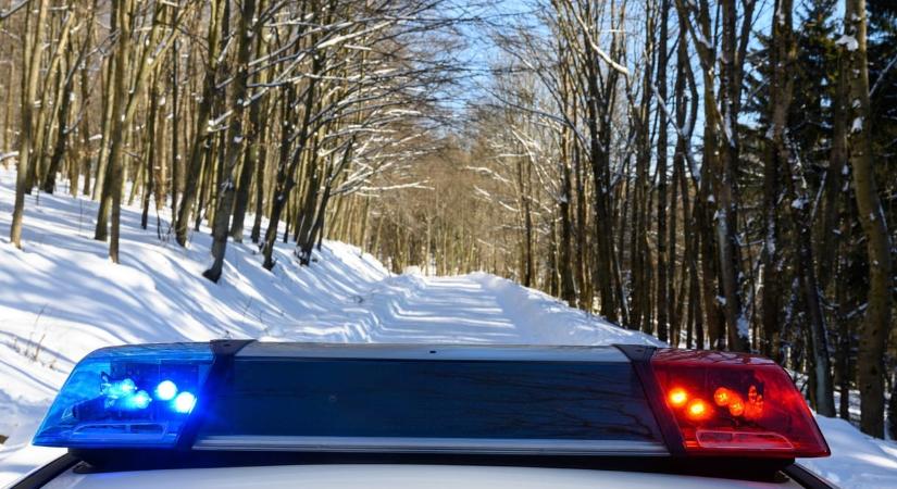 Horror Mélykúton: saját kutyái falták fel az elhunyt férfit