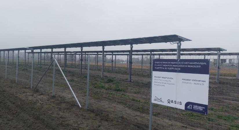 Kukorica és burgonya a napelemek árnyékában – 2026-ban indul a termesztés