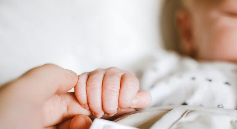 Zendája, Teó és Huba is megszületett: 16 újszülött érkezett januárban