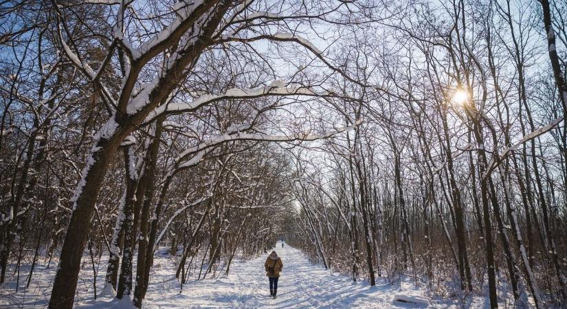 Ónos eső és tavasz egyszerre ? Hihetetlen, milyen idő vár ránk