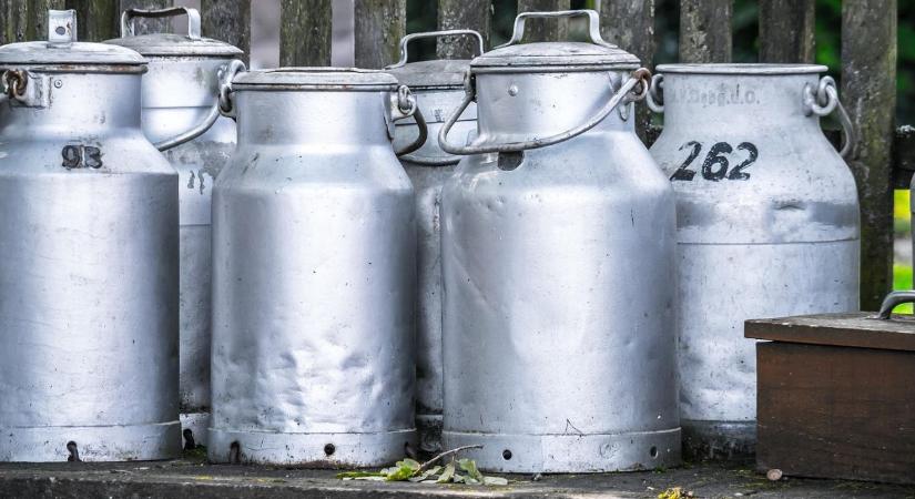 Ezért vannak bajban a tejtermelők: 170 a költség és hetvenet kapnak literjéért