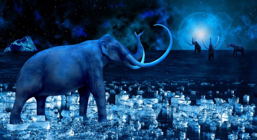 Brutális jégkorszak köszönt az országra, a Balatonnál már kiszúrták az apokalipszis jeleit