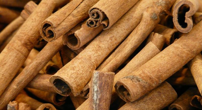 Rendelkezik fertőtlenítő és gyökereztetést fokozó hatással a fahéj?