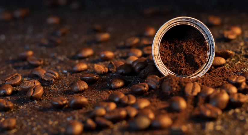 Kertészkedéstől a szépségápolásig: a kávézacc 6 praktikus felhasználási módja