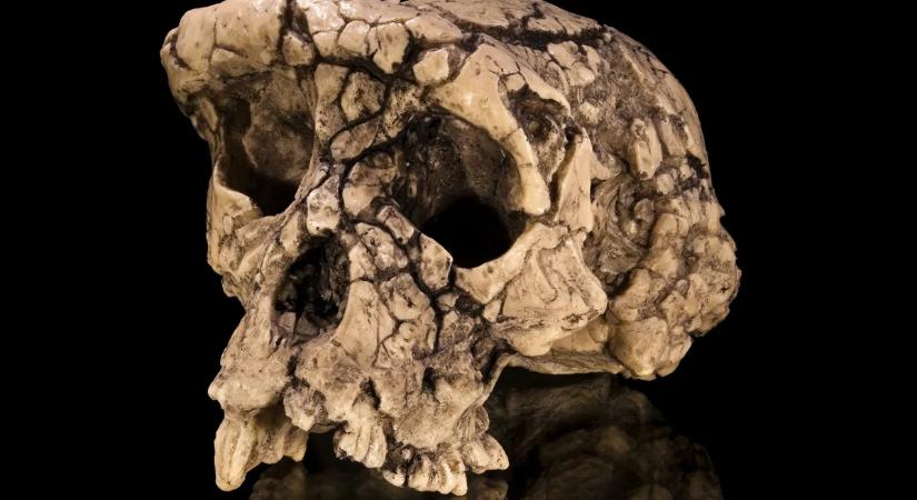 Óriási tévedésben lehettünk eddig? Kiderült az igazság az emberiség eredetéről