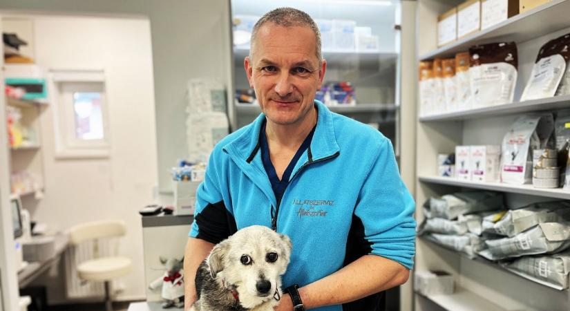 Tényleg fáznak a kutyák télen? Akár ronthatunk is a helyzeten a kabáttal