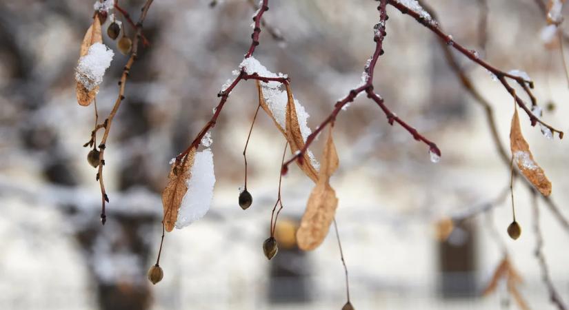 Megszabadulunk végre a mínusz fokoktól? Ilyen időjárásra lehet számítani