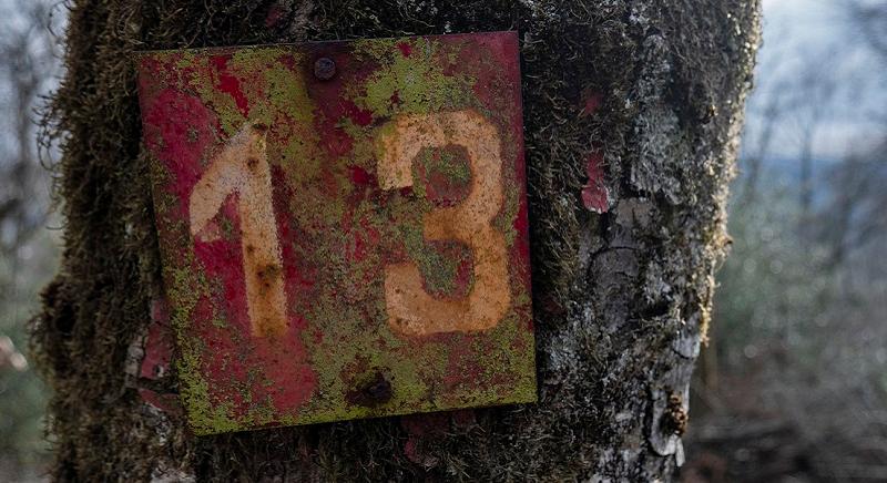 2026. január 13. – Információk, hírek vállalkozóknak