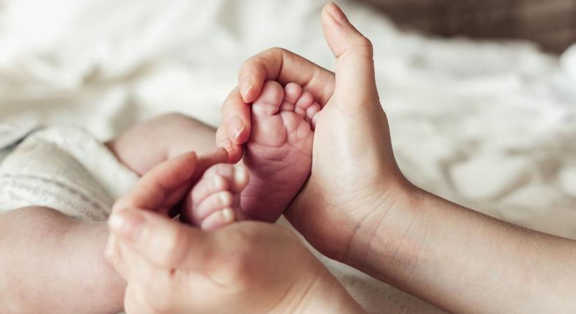 Kecskeméti anyakönyvi hírek, 1–2. hét