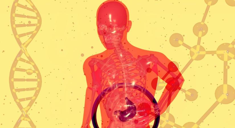 Hiába nem iszol alkoholt: ez a két dolog ugyanúgy tönkreteheti májad