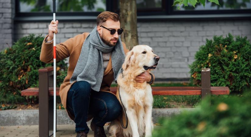 Látássérültként még nehezebb a jeges, havas útfelületeken a közlekedés