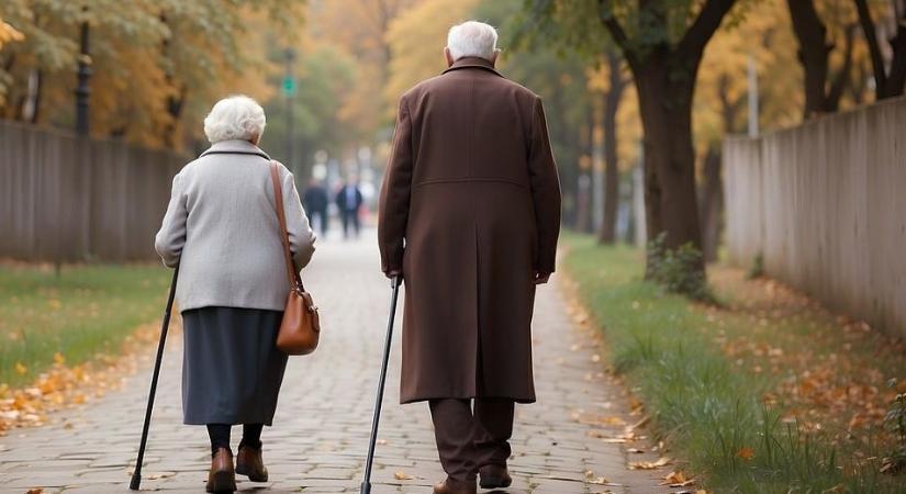 Élelem, gyógyszer vagy fűtés – a HRW szerint választás elé állítja a kormány a magyar nyugdíjasokat