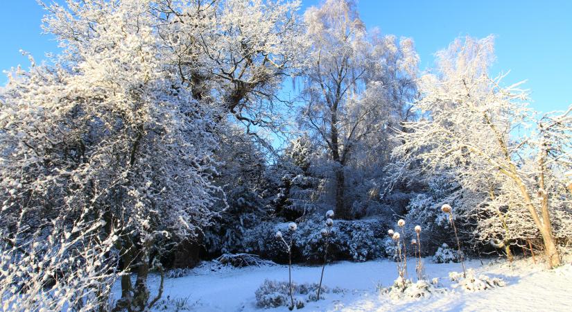 Január a kertben: ezeket csináld meg még most, hogy tavasszal buja és illatos kert várjon