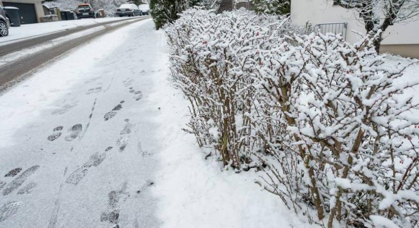 Hiánycikk lett a termék, amire mindenkinek szüksége lenne a mínuszokban