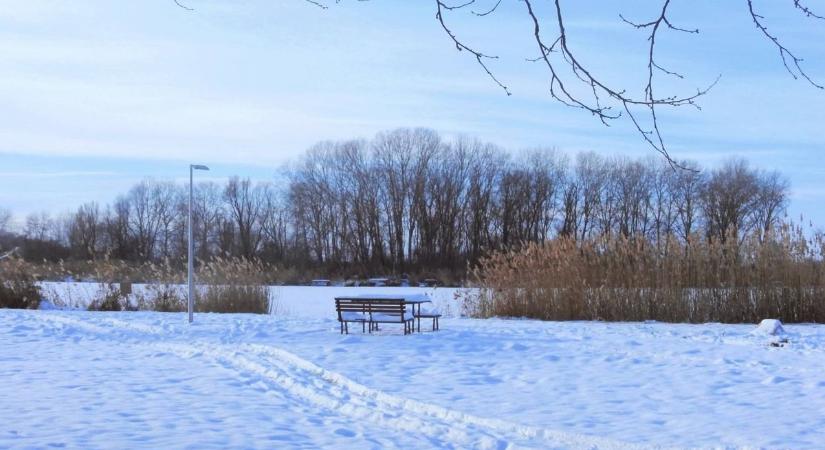 Friss információk érkeztek a Hóci piacról