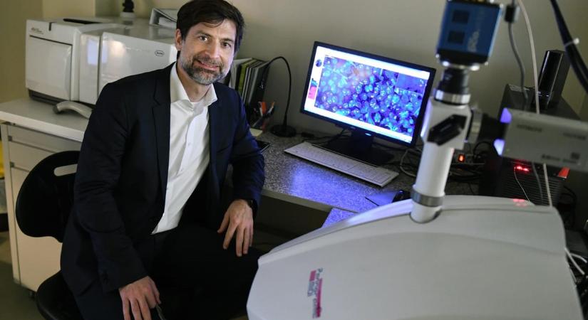 Egyesül a Genomate Health és az Oncompass Medicine – Nemzetközi céggé válik a magyar onkológiai úttörő