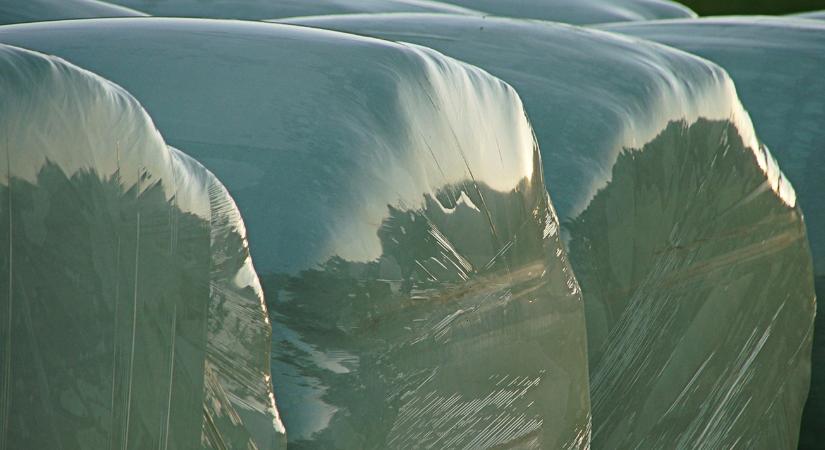 Összevissza tárolod a zsákos takarmányt? Így lesz belőle rágcsálómágnes