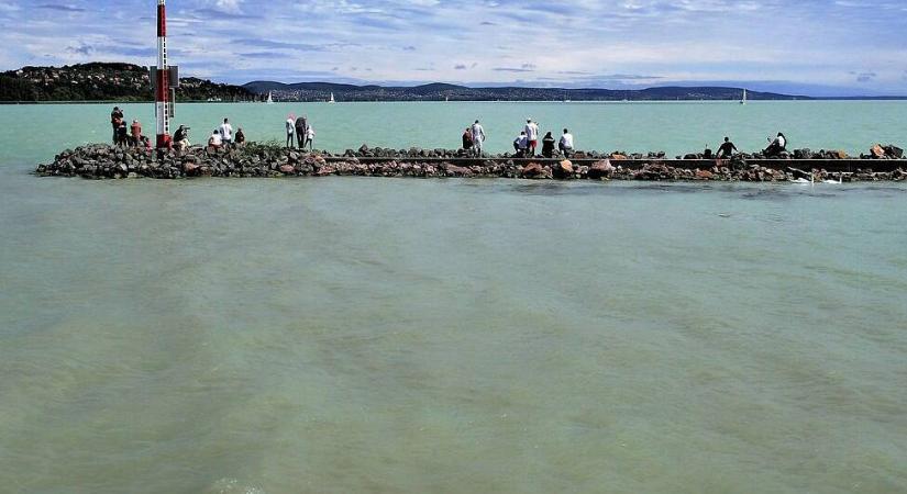 Gyilkos élőlény bukkant fel a Balaton környékén, szándékosan juttathatták a vízbe