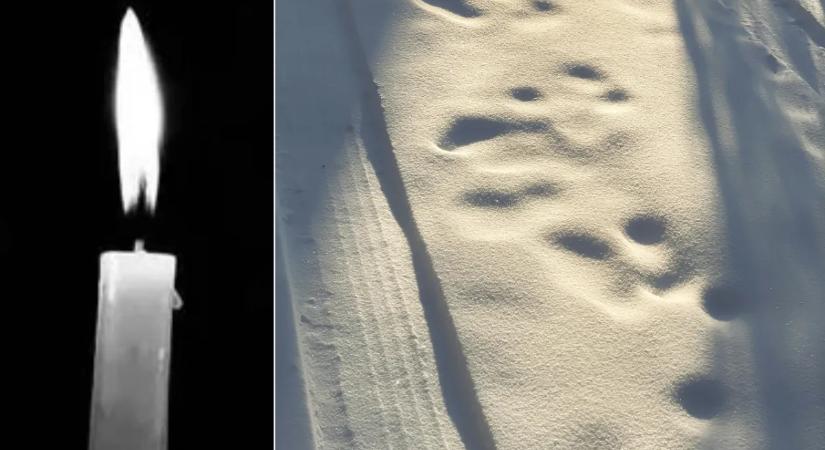 Holtan esett össze a hóban, áldozatot követelt a -12 Celsius-fokos hideg