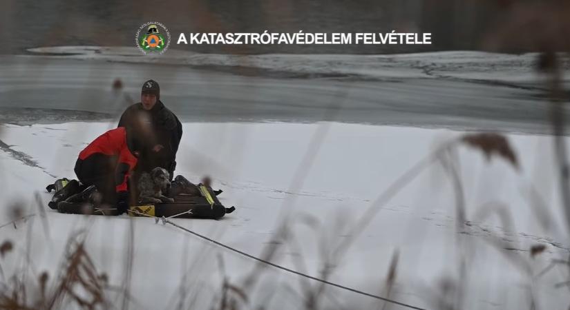 Videón, ahogy a jégről mentenek ki egy kutyát a budapesti tűzoltók