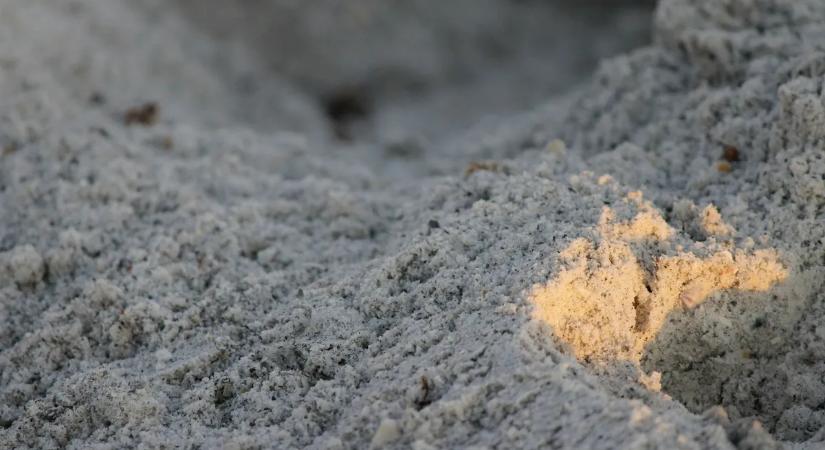 Halálos baleset: élve temette be a gyerekeket a homok