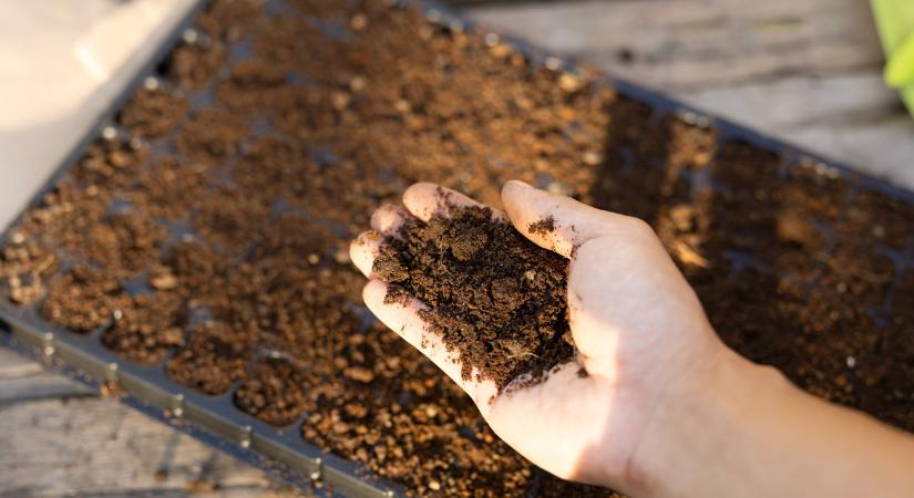 Zöldség, szőlő, takarmánynövény: mindenhol bizonyítottak az innovatív biotrágyák