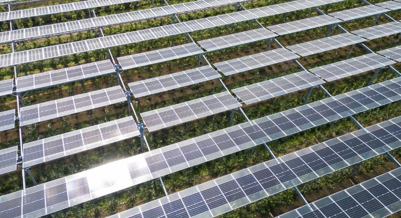 Aggasztó rekordot döntött Magyarország – és már azt is tudjuk, mi jön ezután