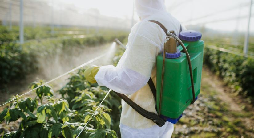 Kiderült: Parkinson-kórt okozhat a népszerű növényvédő szer