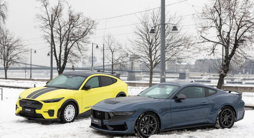 Nagyot ment tavaly nálunk a Ford