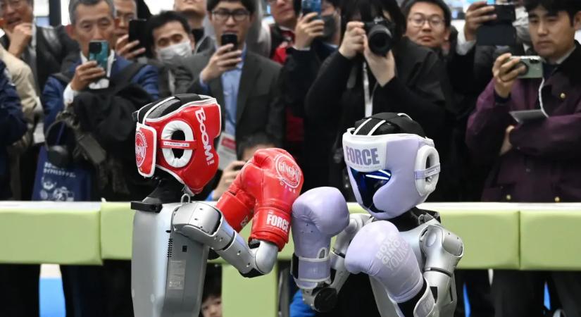 Ha ezek a robotok egyszer fellázadnak ellenünk, én teljesen megértem