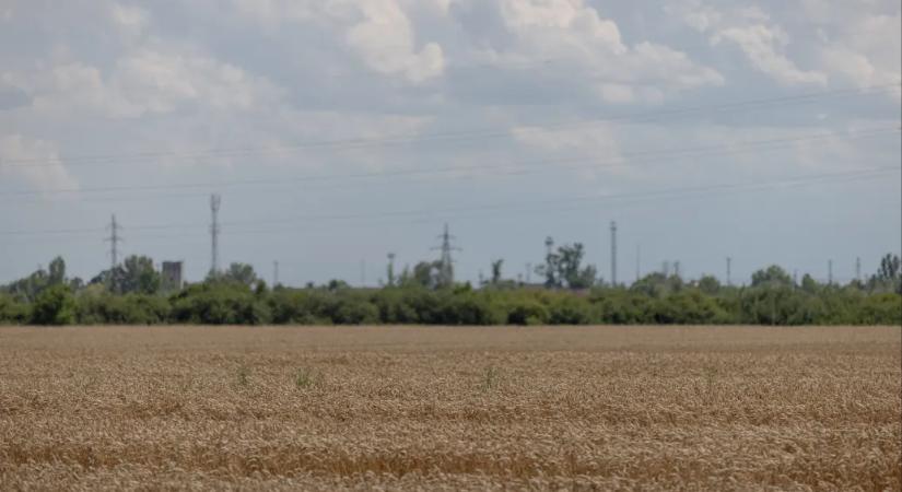 Főleg termelőknek, több mint 10 milliárddal tartozik a Bászna Gabona a MOSZ szerint