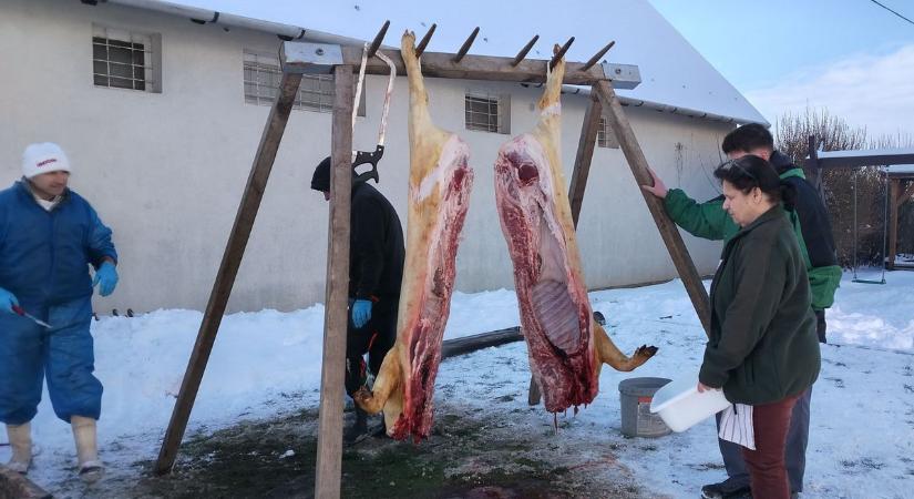 Évindító disznóölés Ajkarendeken tizennyolcadszor