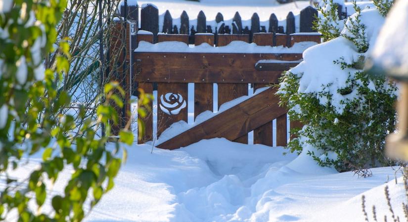 A hó mint természetes fertőtlenítő – igaz vagy tévhit?