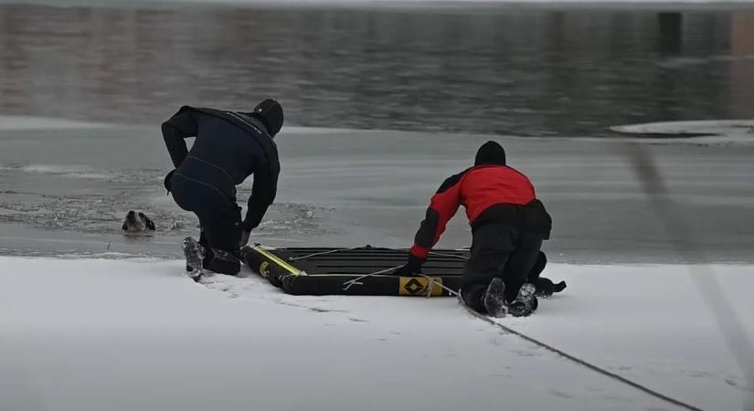 Így rohantak a tűzoltók a jeges vízbe esett kutyához Soroksárnál - videó