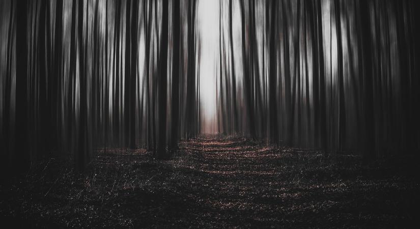 Tragédia történt, a fideszes politikus feljelentést tett