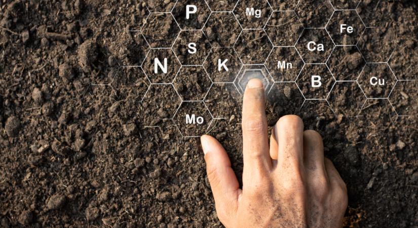 Az Agromasters Hungary Kft.: komplett agrárszakmai rendszer a talajtól a termésbiztonságig