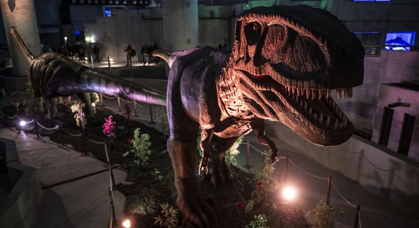 Jött Slash és rocksztárok lettek a bakonyi dinók