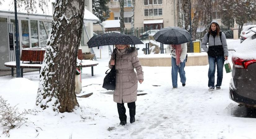 Csak idő kérdése, mikor történik tragédia a konténerek árnyékában