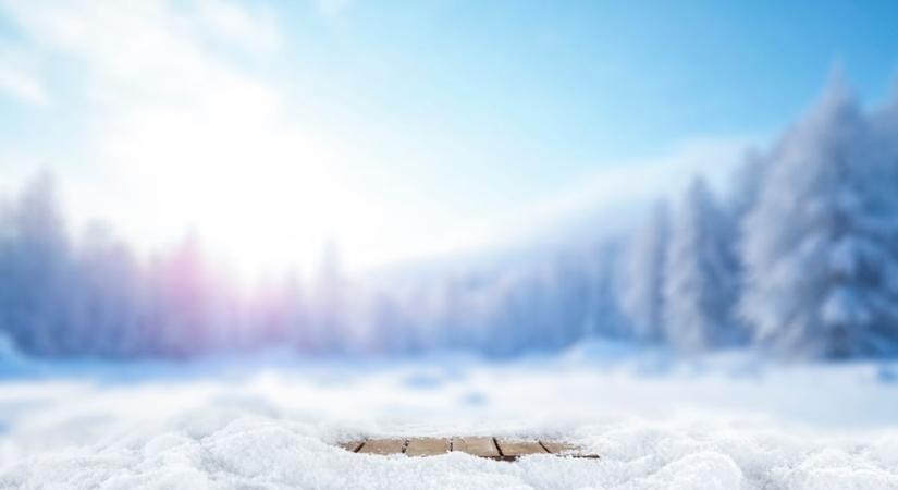 Különös lény jelent meg a havon, szakembernek kellett elmagyarázni, hogy kerülhetett oda