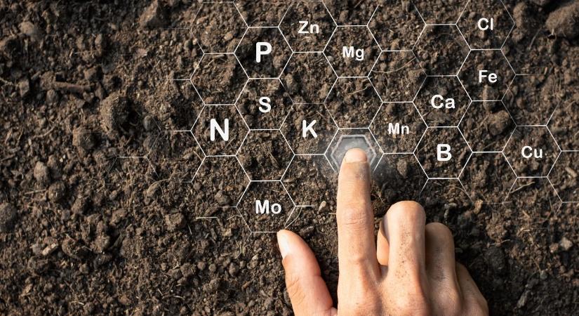Kipróbálnád? Komplett agrárszakmai rendszer a talajtól a termésbiztonságig