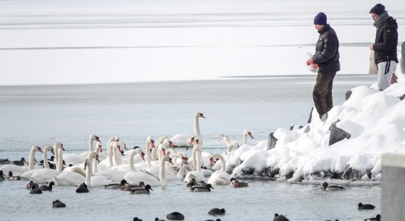 A Balaton vízszintje kedvezően változott, ám a jégréteg még nem biztonságos